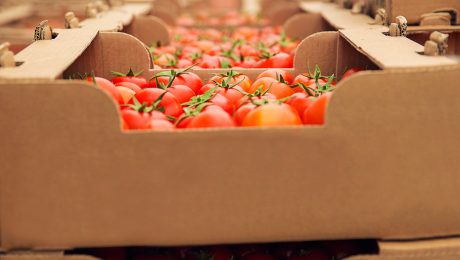 Opakowanie kartonowe na warzywa i owoce